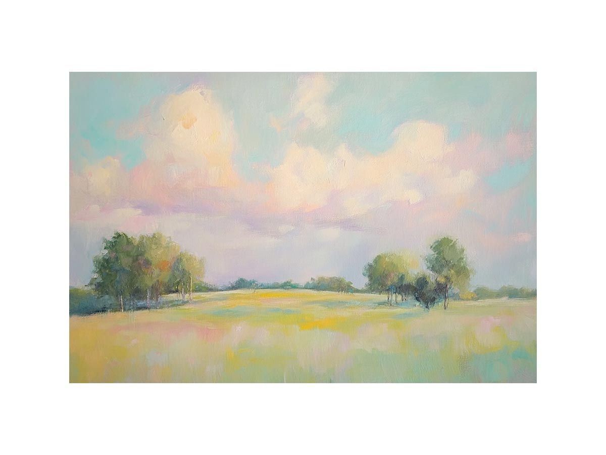 Soft Horizon