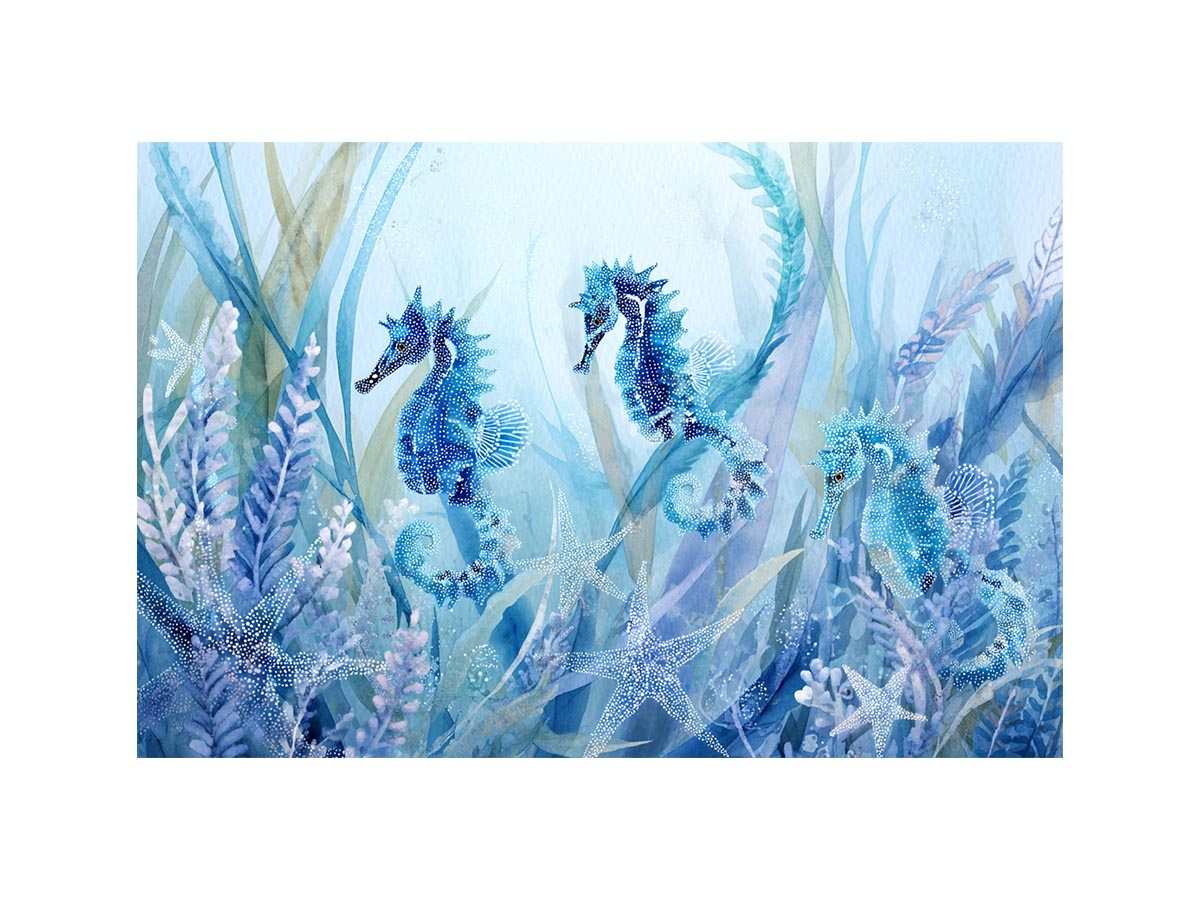 Seahorses