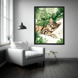 Tabby Cat