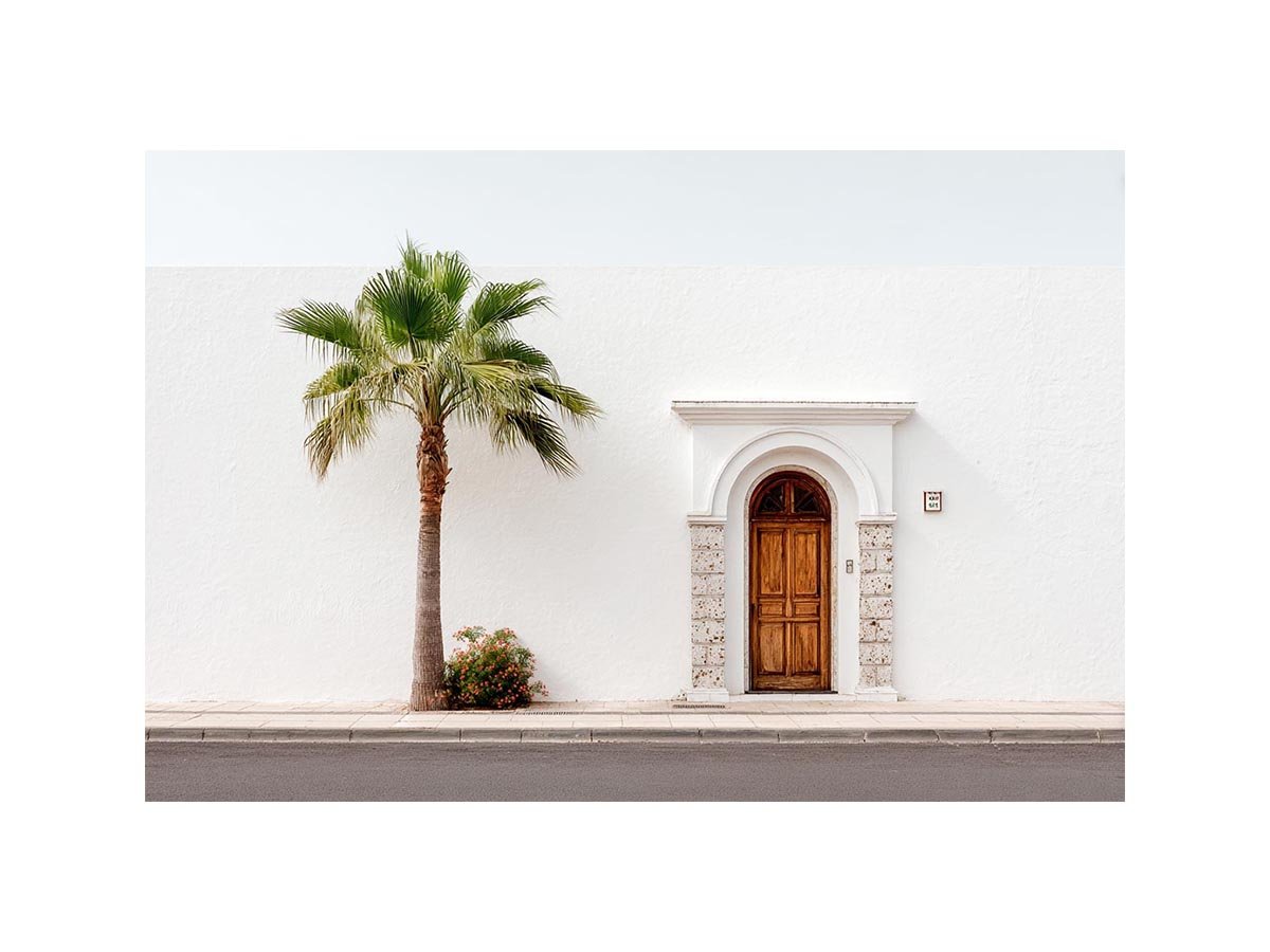 Palmshade Haven