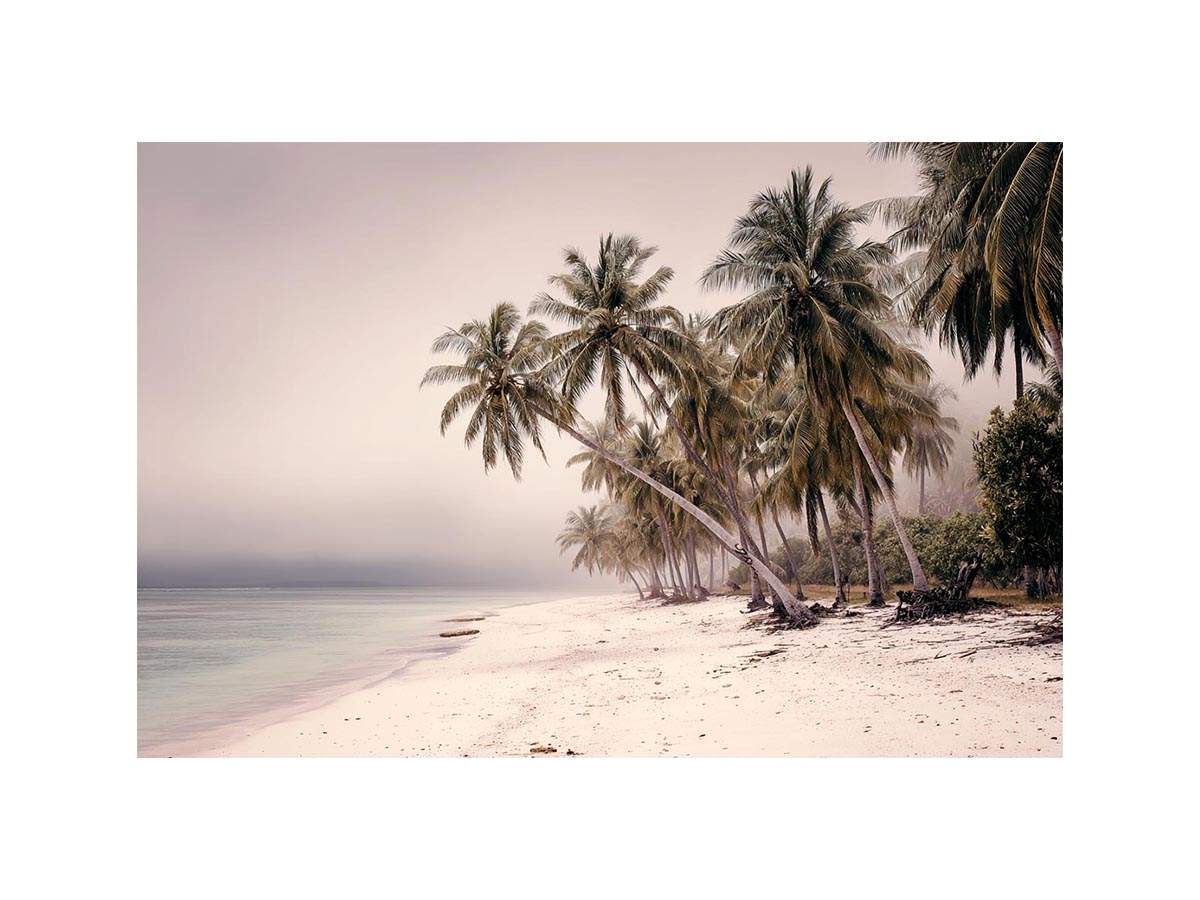 Whispers in White Sand