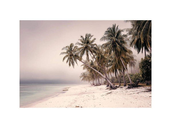 Whispers in White Sand