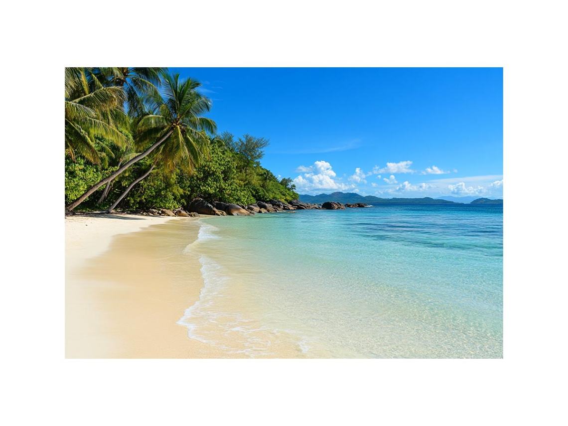Tropical Beach