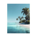 Tropical beach with palm
