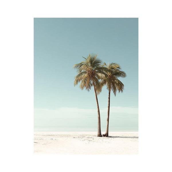 Two Palms