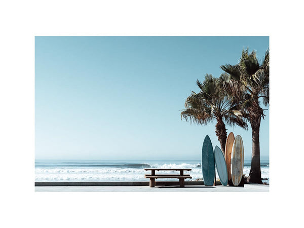 Surf & Palm Harmony