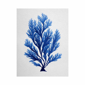 Blue seaweed