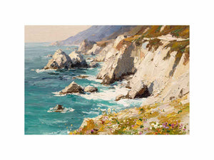 Wild Edge of the Coast