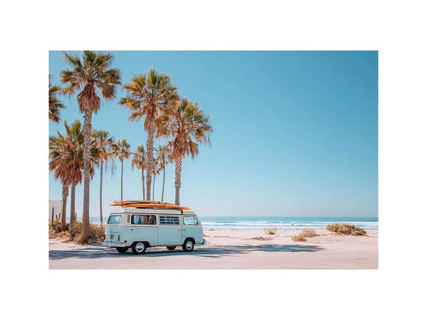 Surf & Ride by the Palms