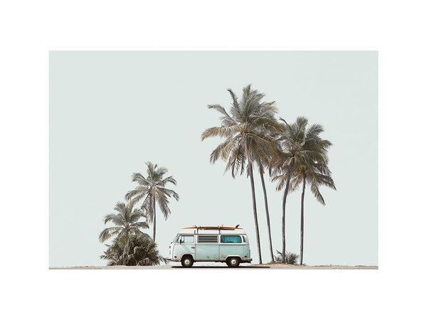 Palm Shadows & Surfboards