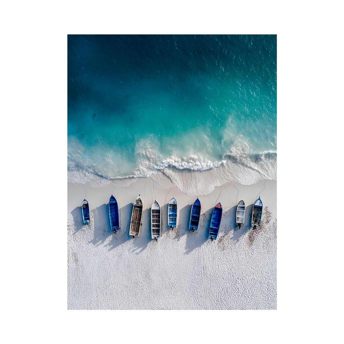 Shoreline Fleet