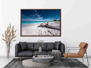 Driftwood on beach