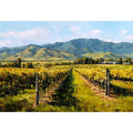 Marlborough Vineyards