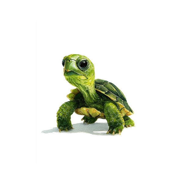 Turtle Watercolor Painting