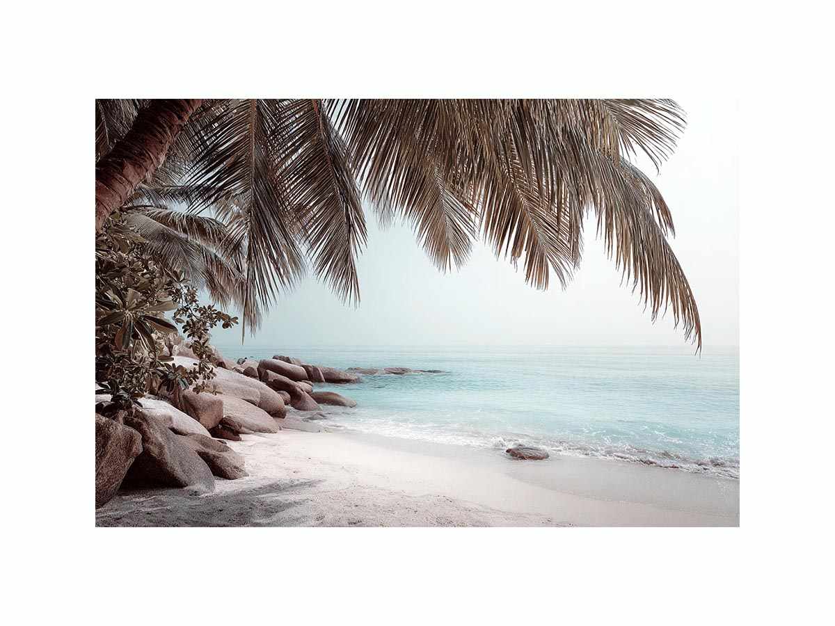 Morning Mist