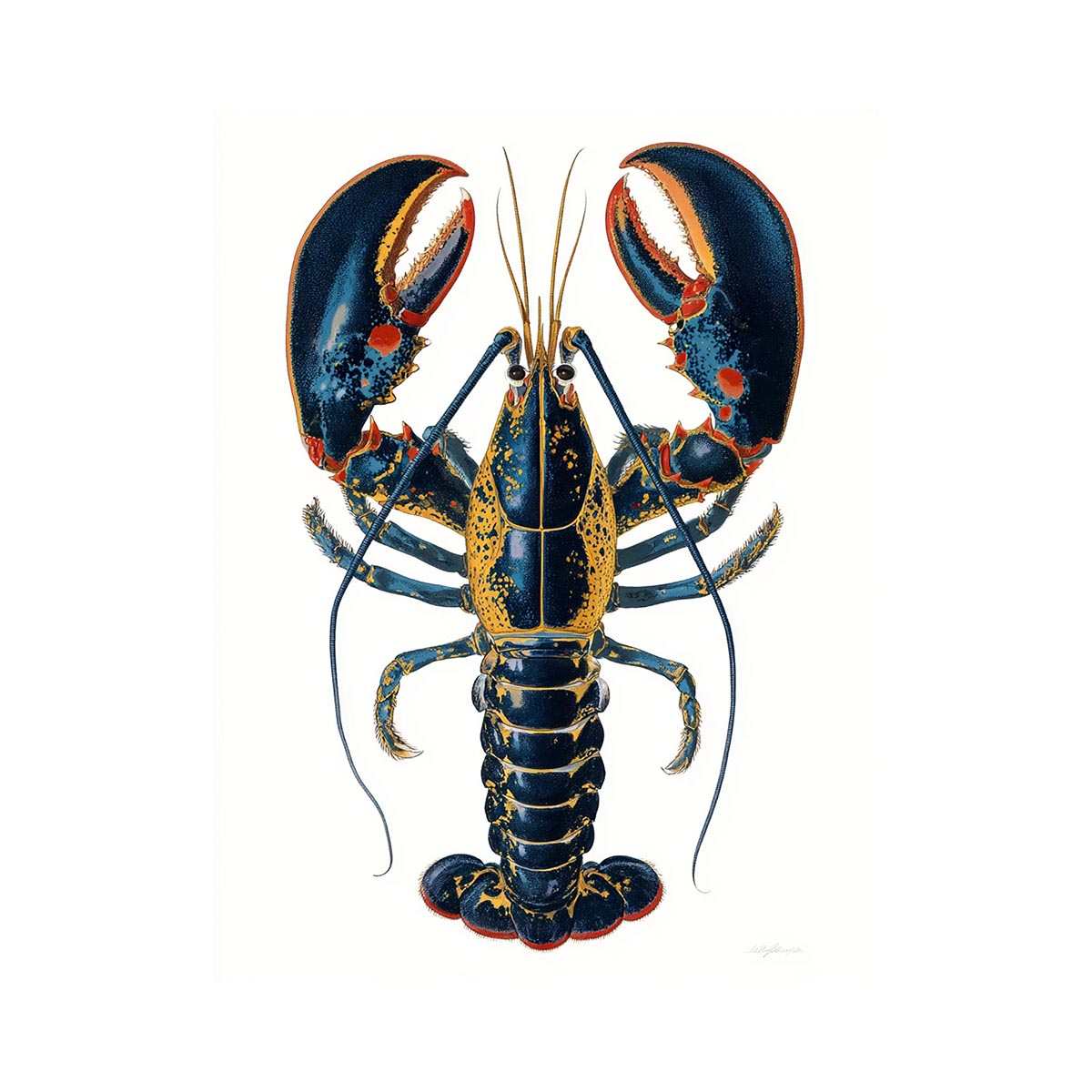 Lobster