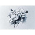 Flowers Sketch