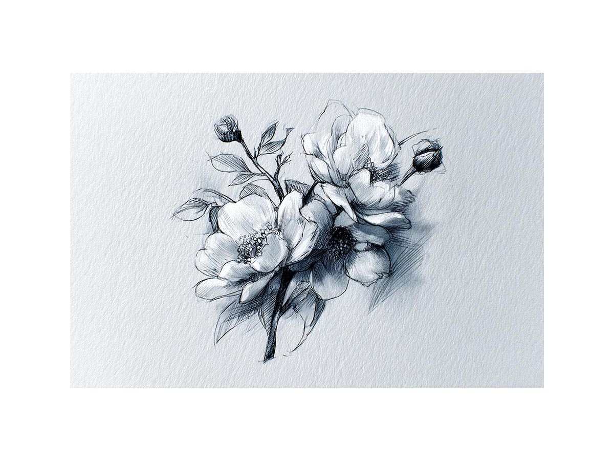 Flowers Sketch