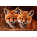 Two Baby Red Foxes