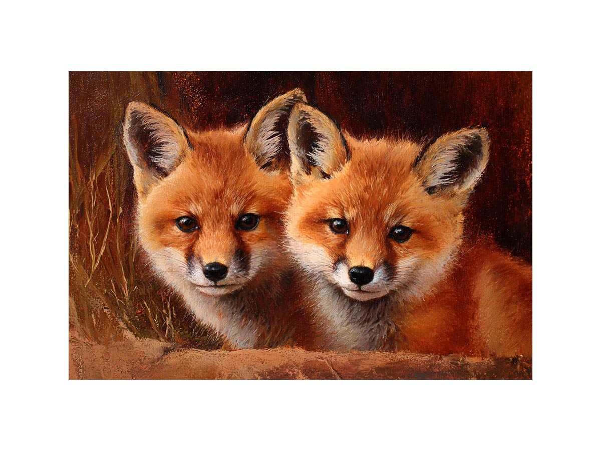Two Baby Red Foxes