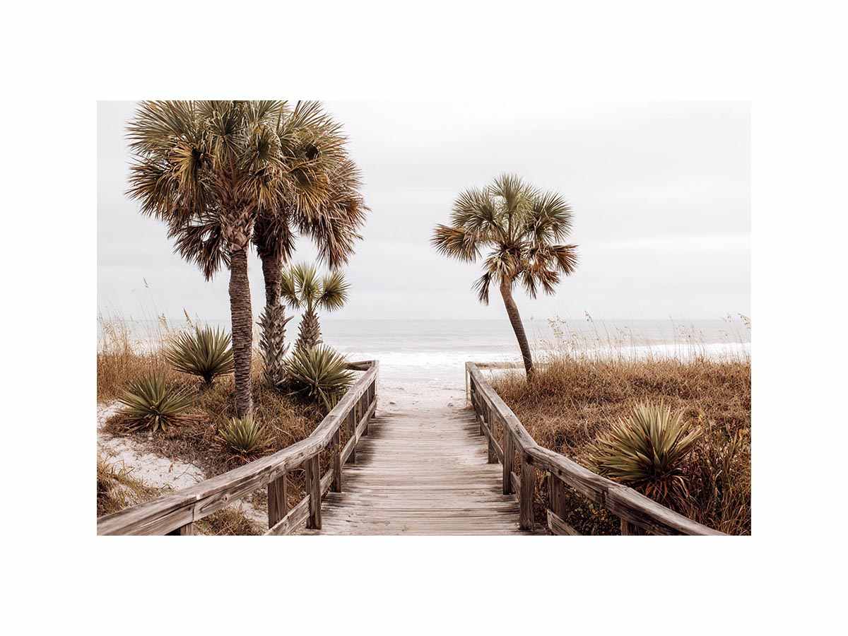 Beach Boardwalk