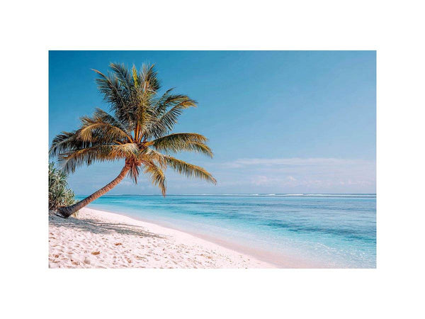 Boardwalk to Paradise