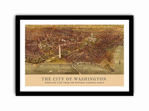 Framed Print