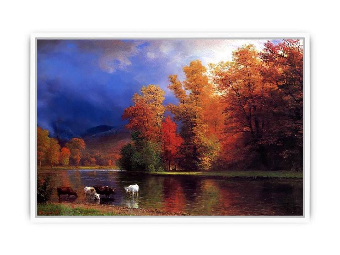 On The Saco Framed Print