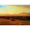 Buffalo on the Plains, c.1890 by Albert Bierstadt