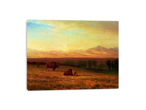 Buffalo on the Plains, c.1890 by Albert Bierstadt Painting 