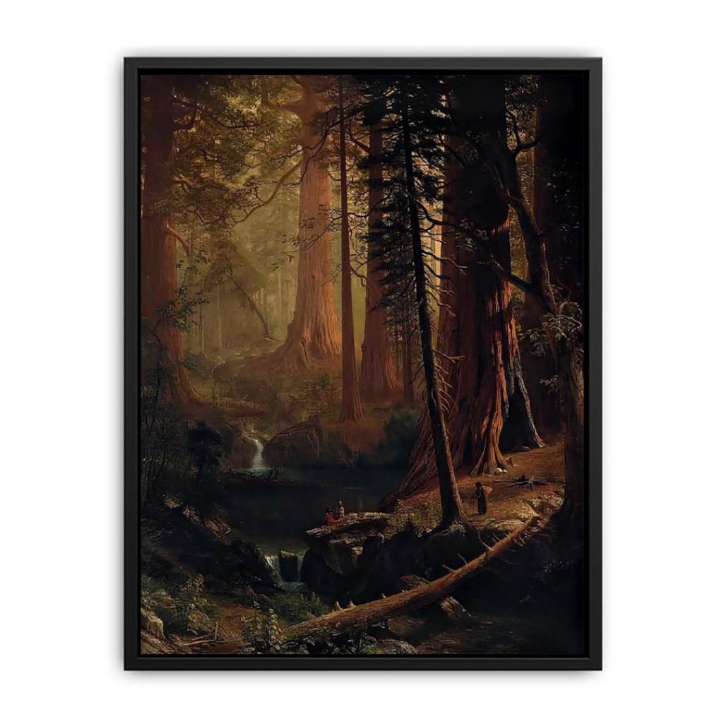 Giant Redwood Trees of California Canvas Print