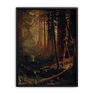 Giant Redwood Trees of California Canvas Print