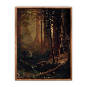 Giant Redwood Trees of California  Poster
