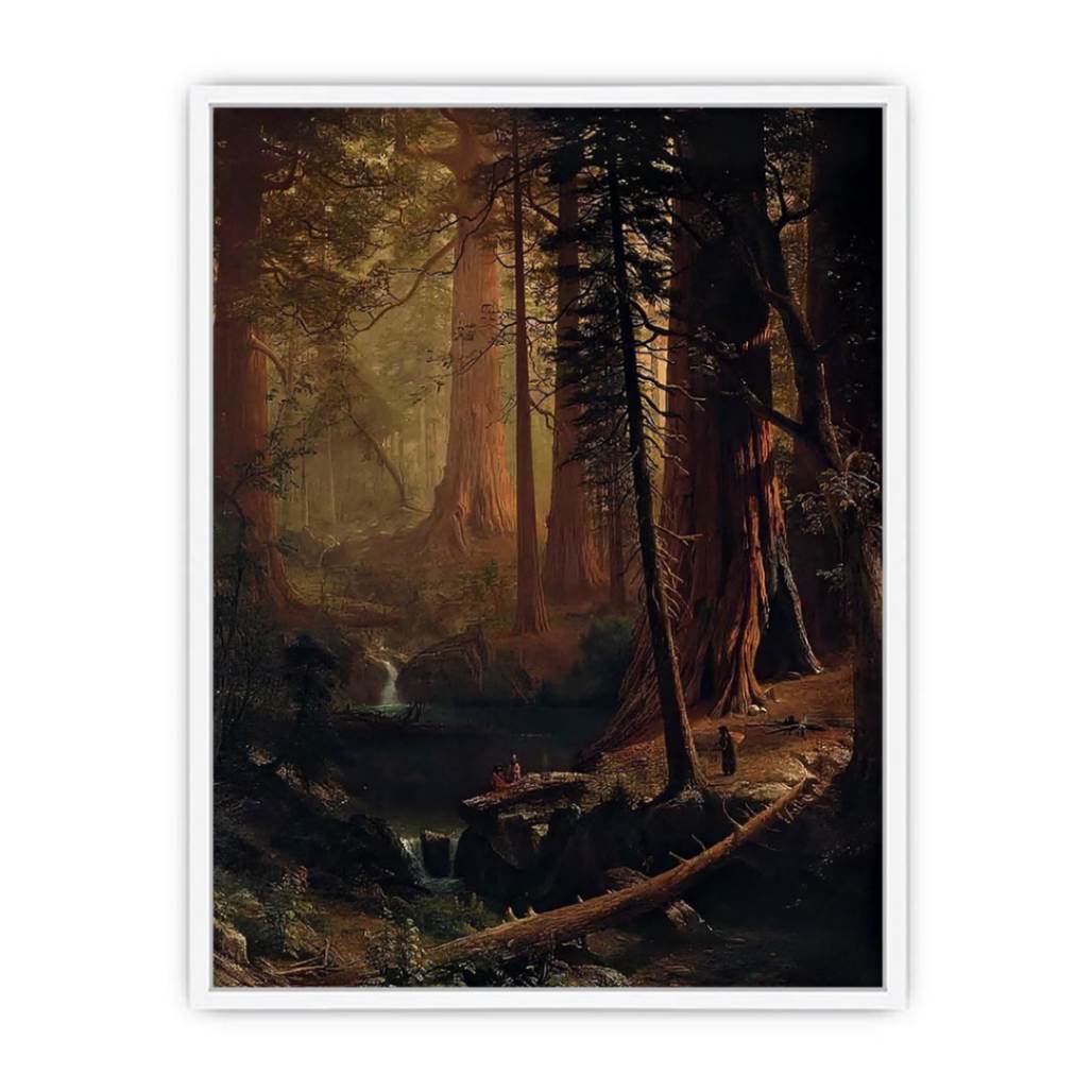 Giant Redwood Trees of California Framed Print