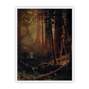 Giant Redwood Trees of California Framed Print