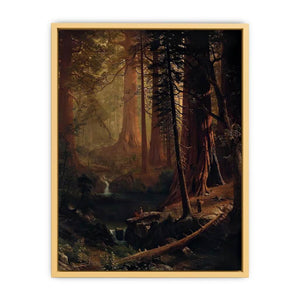 Giant Redwood Trees of California Streched canvas