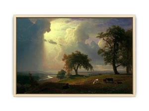 California Spring  Art Print