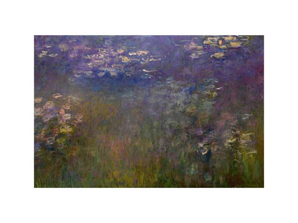 Agapanthus (center panel)
