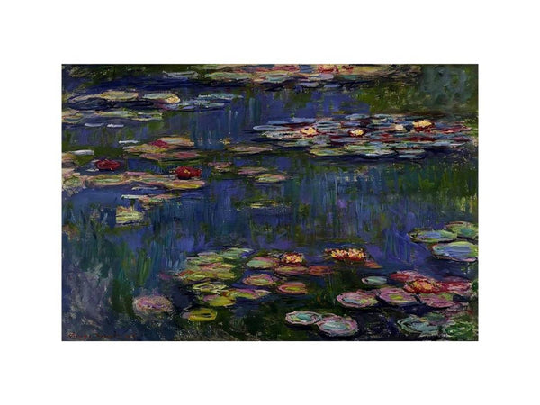 Water Lilies
