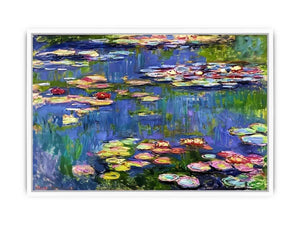 Water Lilies Framed Print