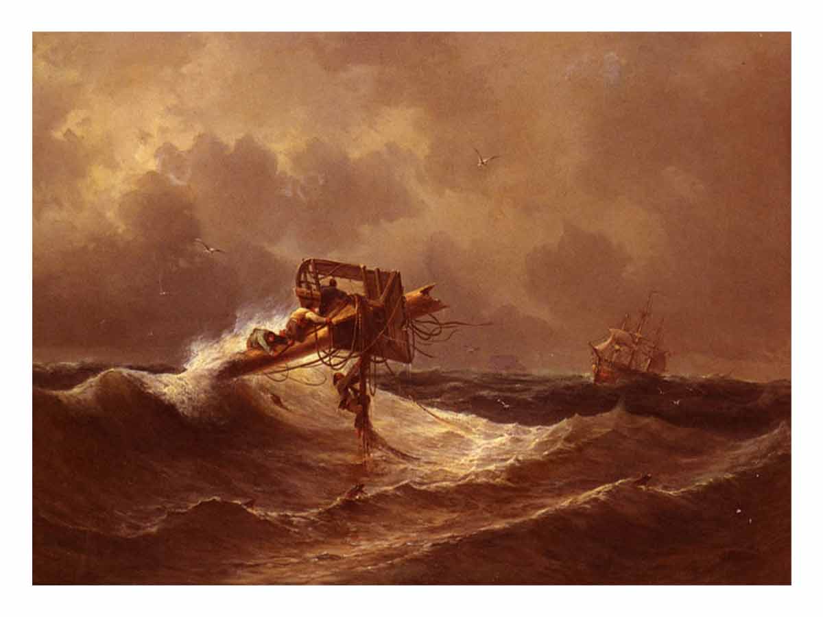 	
The Rescue