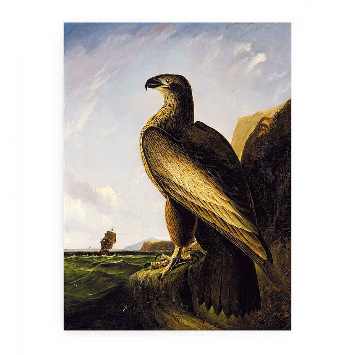 Washington Sea Eagle