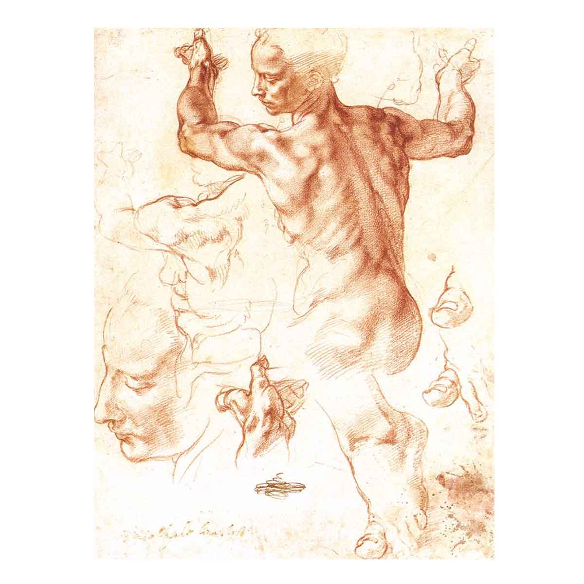 Study for the Libyan Sibyl 1511