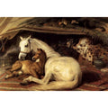 The Arab Tent 1866 by Sir Edwin Henry Landseer
