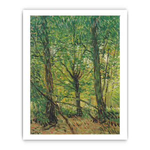 Van Gogh Art