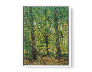 tree And Undergrowth  Painting