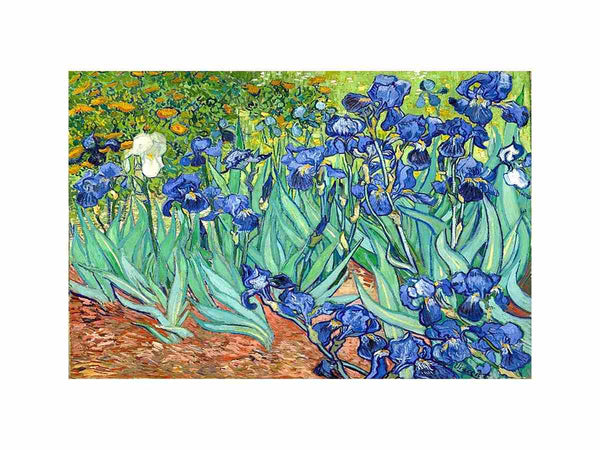 Irises By Van Gogh Painting