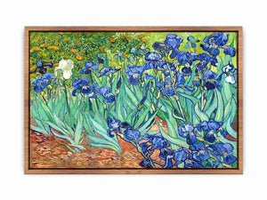 Irises By Van Gogh Painting  Poster