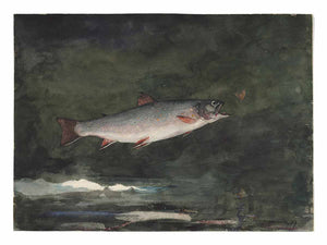 Leaping Trout