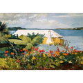 Flower Garden and Bungalow, Bermuda by Winslow Homer